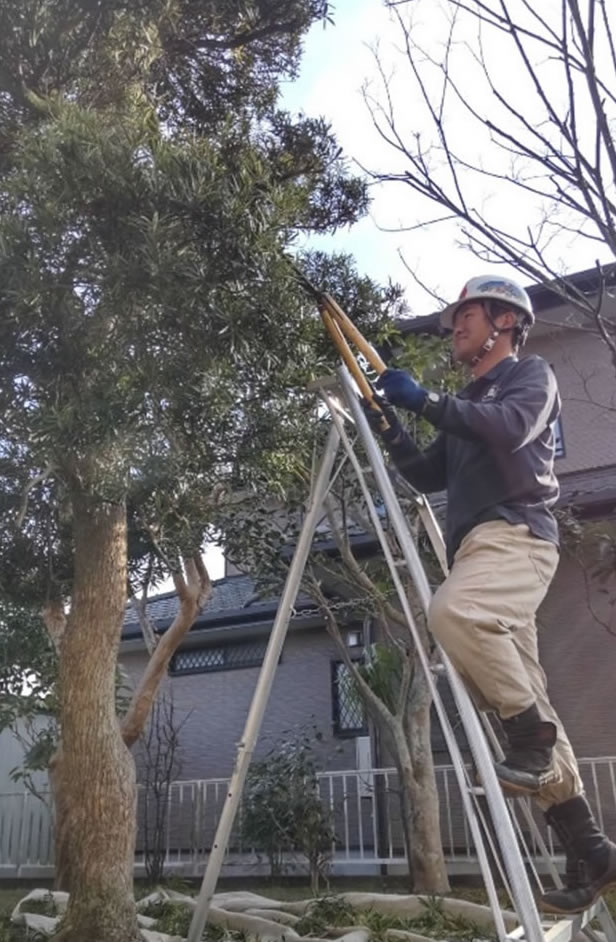 リカバリーサポート株式会社